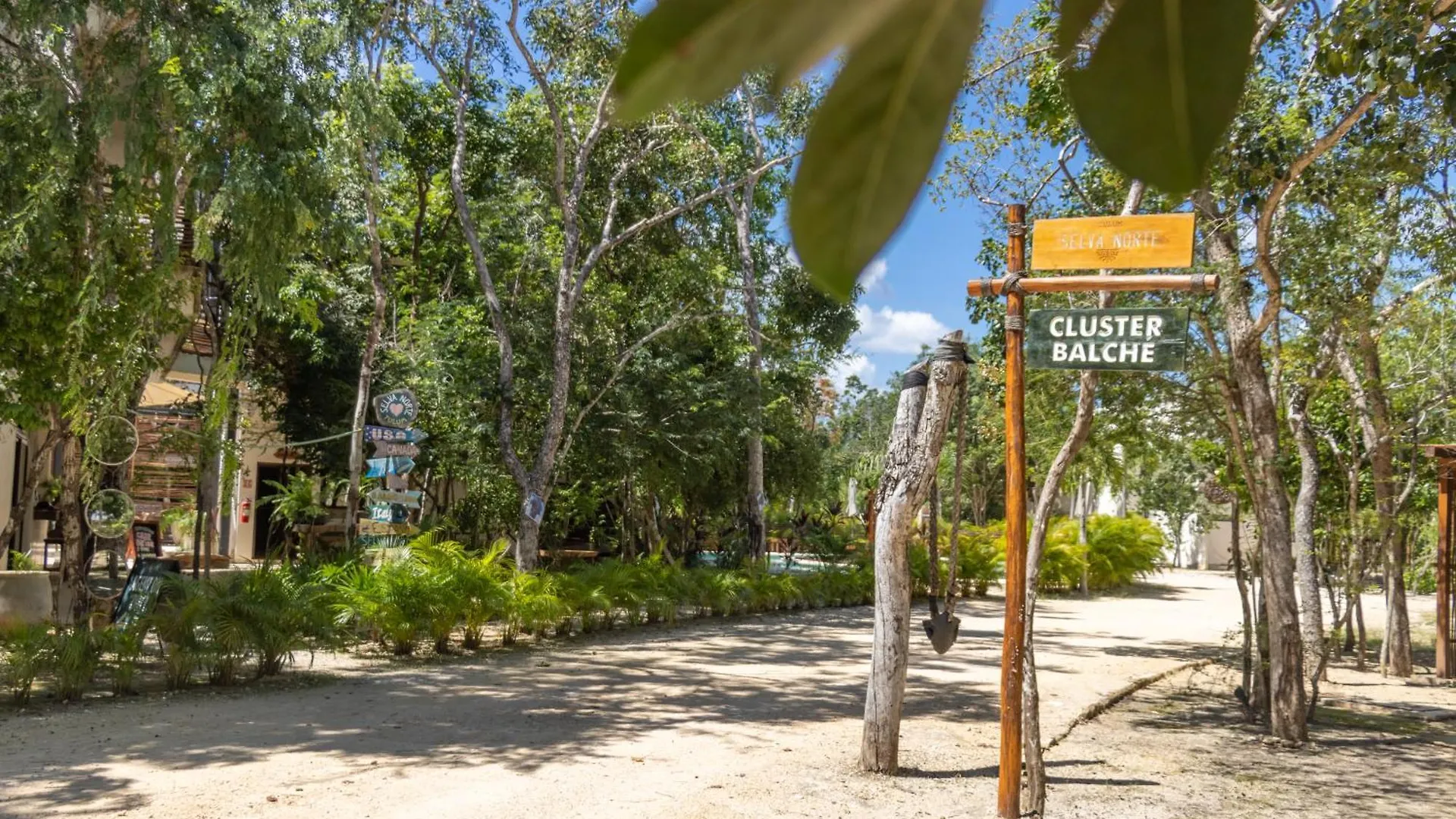 Selva Norte Tulum