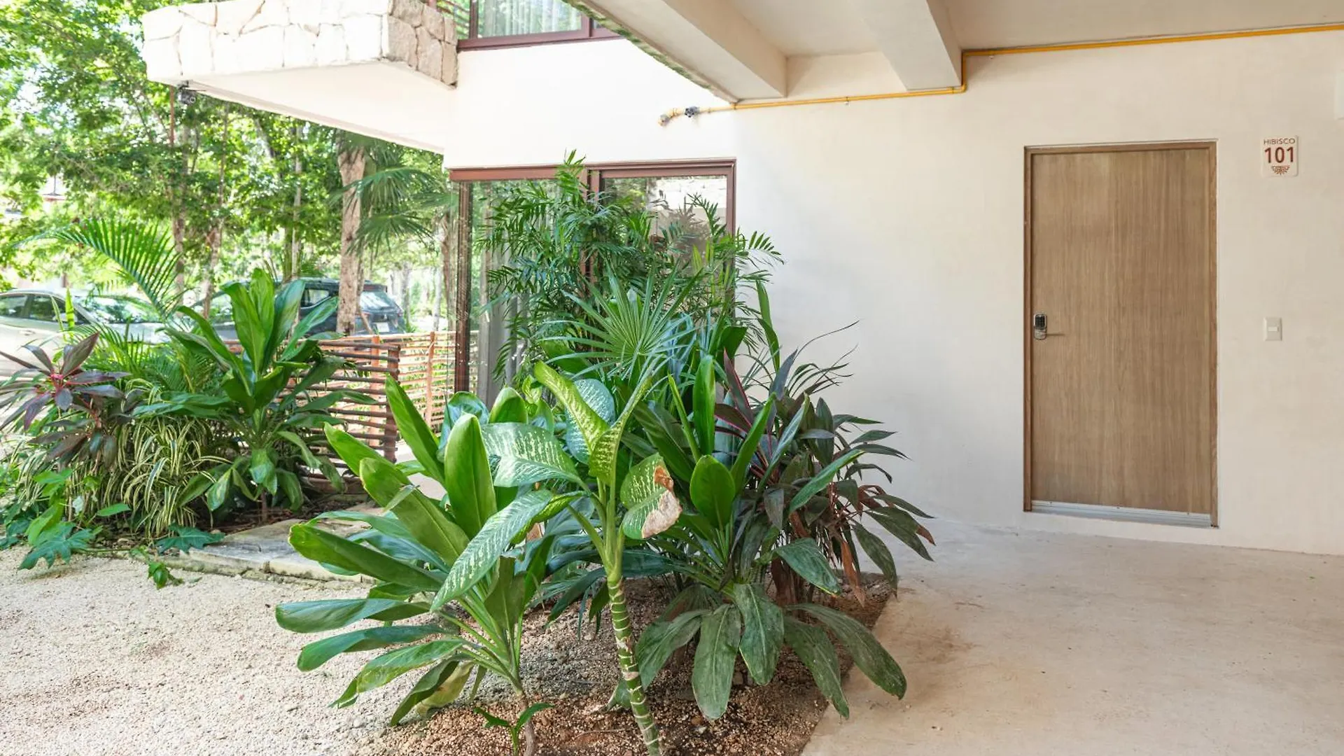 Apartmán Selva Norte Tulum